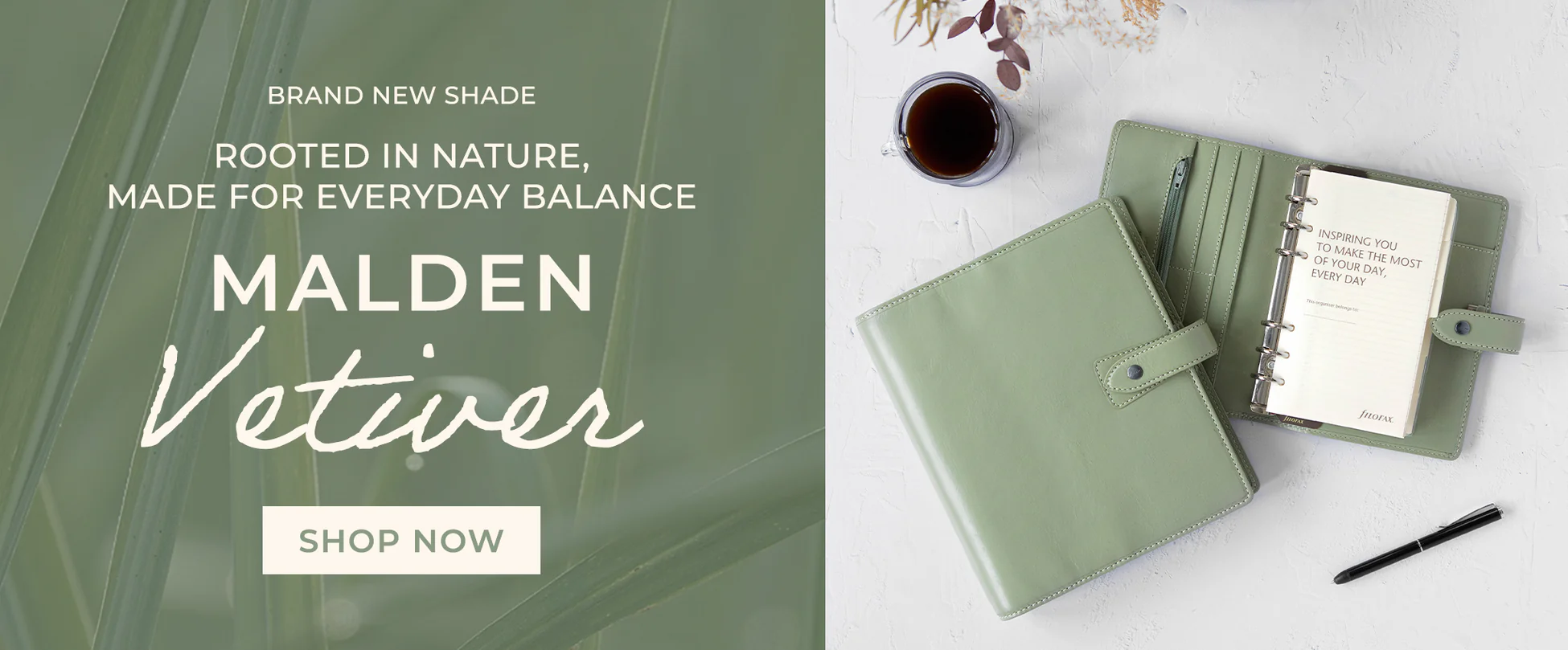 Master Your Daily Rituals